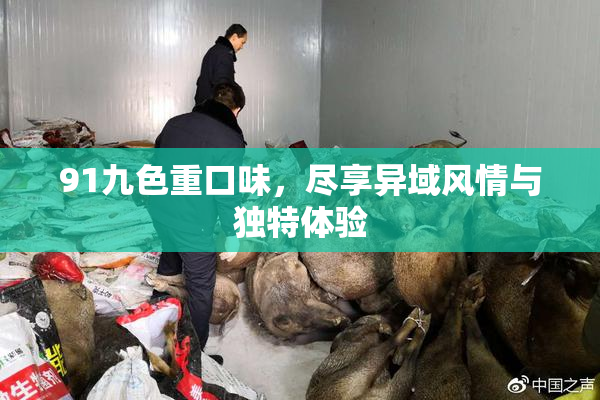 91九色重口味，尽享异域风情与独特体验