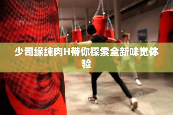 少司缘纯肉H带你探索全新味觉体验