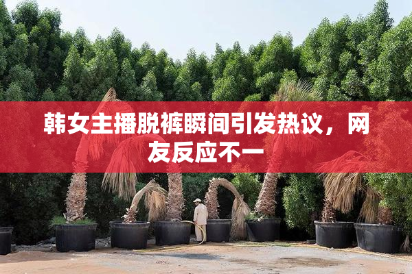 韩女主播脱裤瞬间引发热议，网友反应不一
