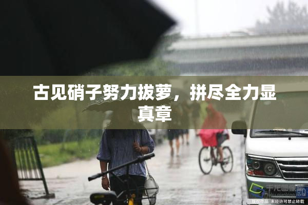 古见硝子努力拔萝，拼尽全力显真章