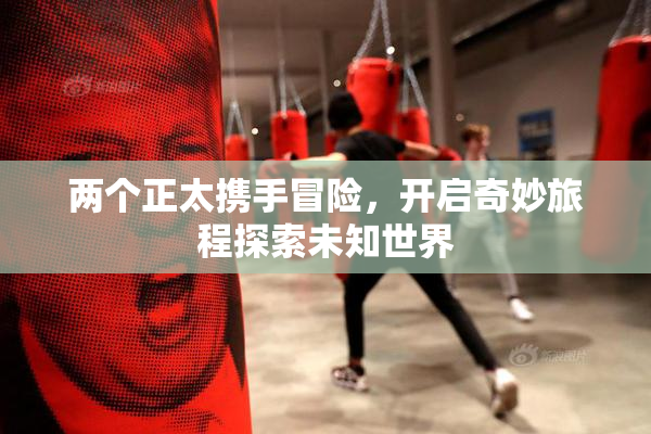 两个正太携手冒险，开启奇妙旅程探索未知世界