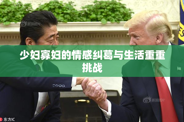 少妇寡妇的情感纠葛与生活重重挑战
