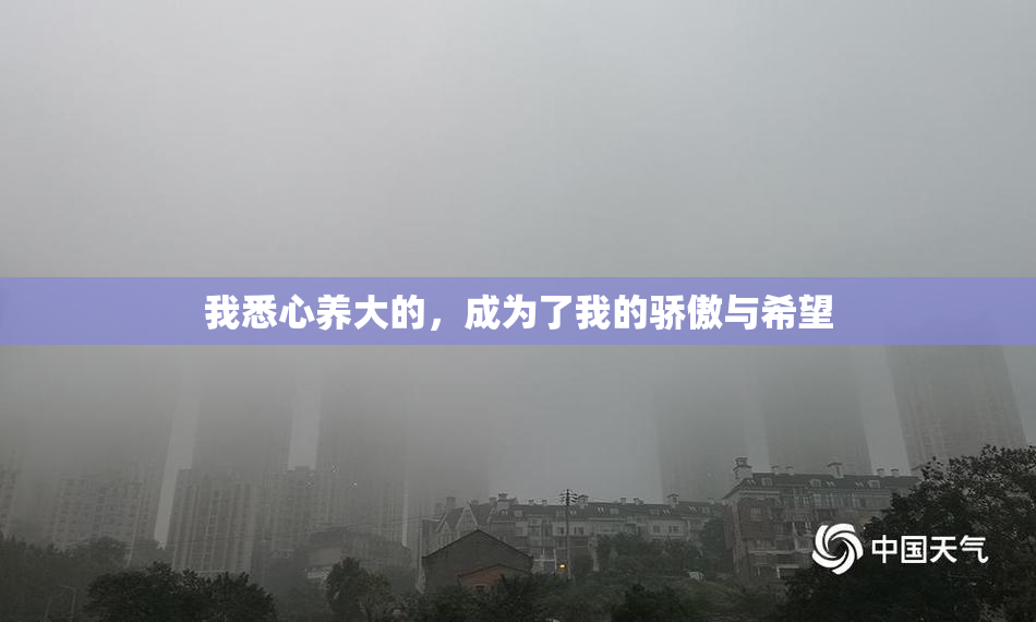 我悉心养大的，成为了我的骄傲与希望