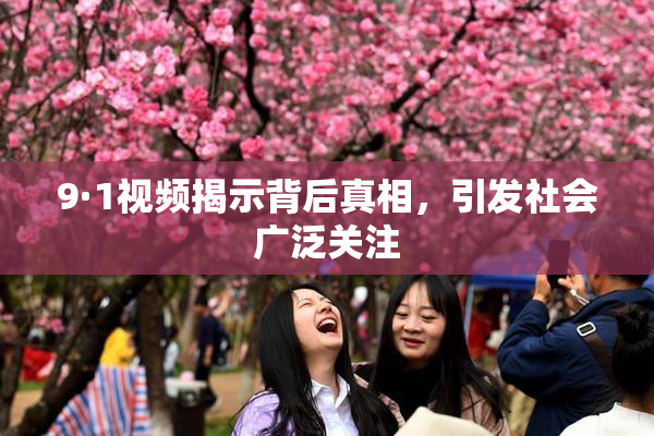 9·1视频揭示背后真相，引发社会广泛关注