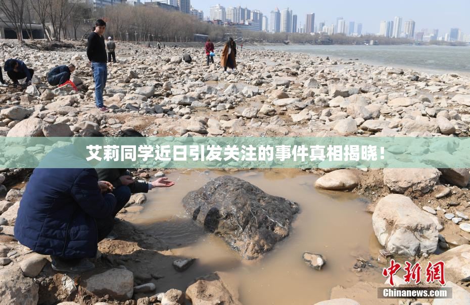 艾莉同学近日引发关注的事件真相揭晓！