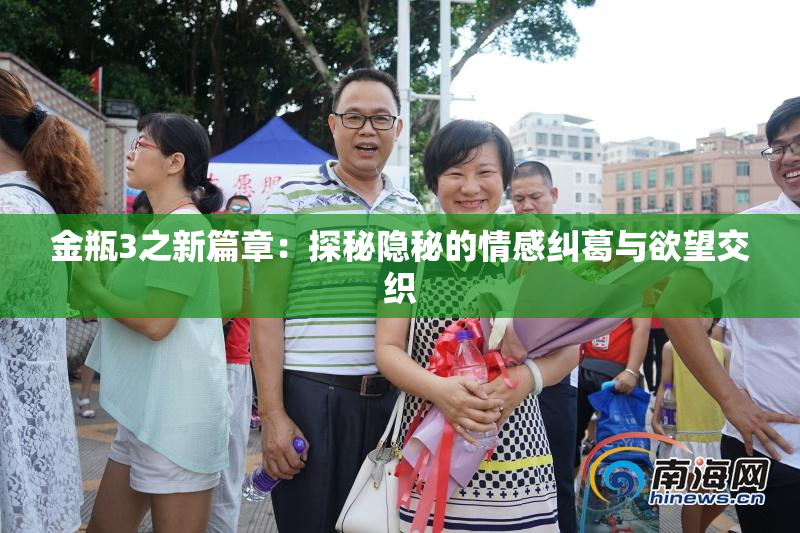 金瓶3之新篇章：探秘隐秘的情感纠葛与欲望交织