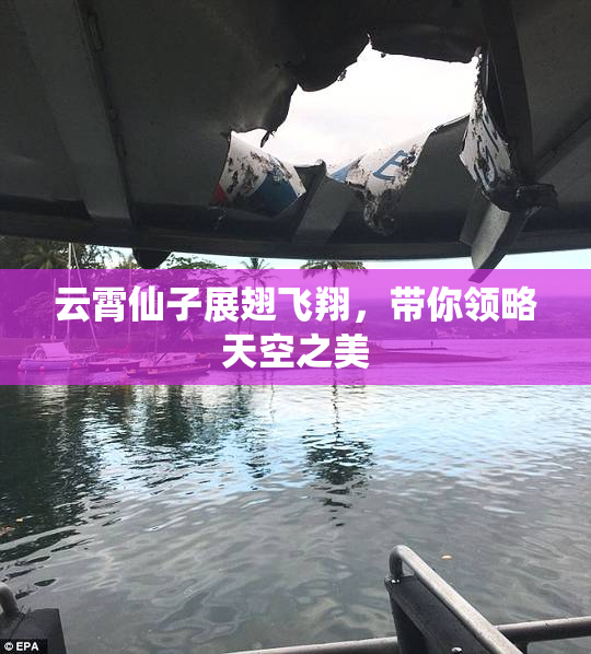 云霄仙子展翅飞翔，带你领略天空之美