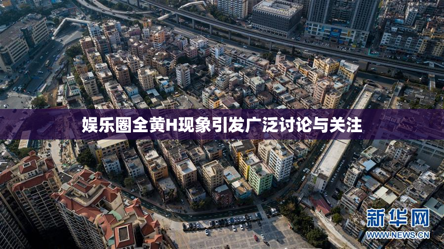 娱乐圈全黄H现象引发广泛讨论与关注