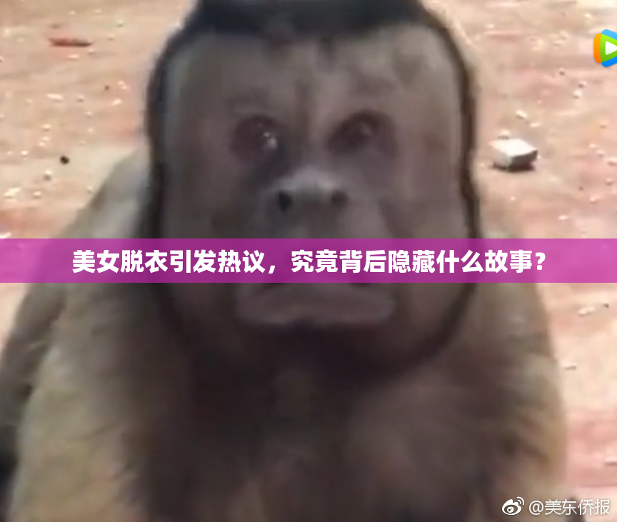 美女脱衣引发热议，究竟背后隐藏什么故事？