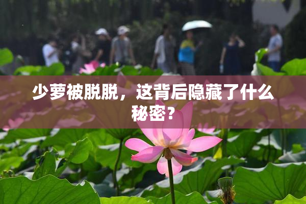 少萝被脱脱，这背后隐藏了什么秘密？