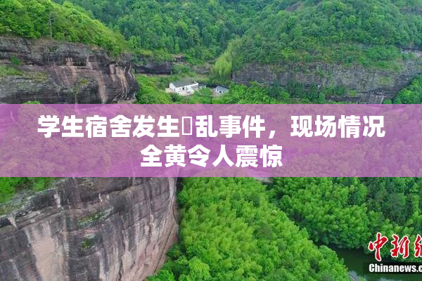 学生宿舍发生婬乱事件，现场情况全黄令人震惊