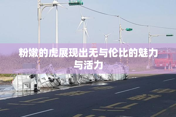 粉嫩的虎展现出无与伦比的魅力与活力