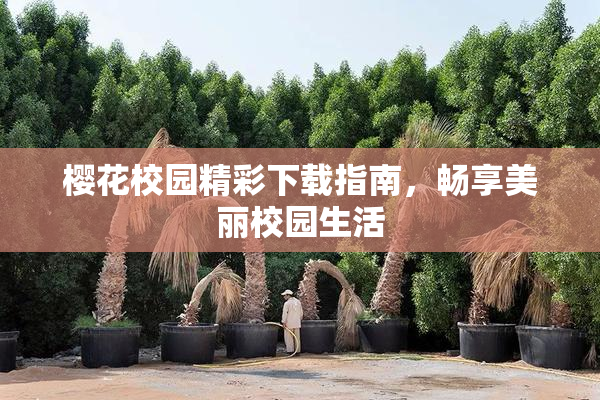 樱花校园精彩下载指南，畅享美丽校园生活