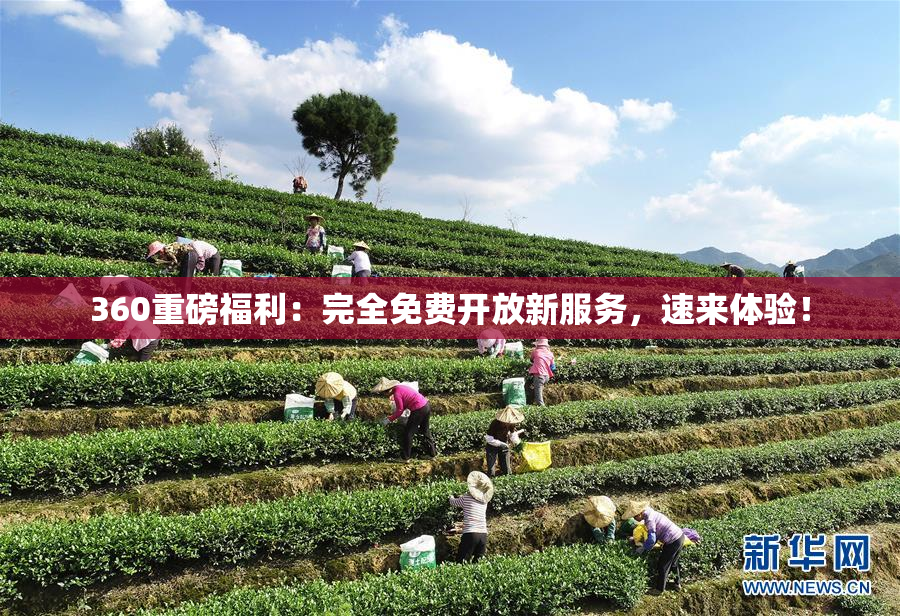 360重磅福利：完全免费开放新服务，速来体验！