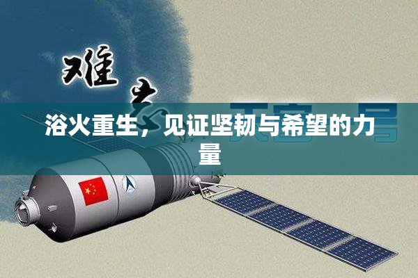浴火重生，见证坚韧与希望的力量