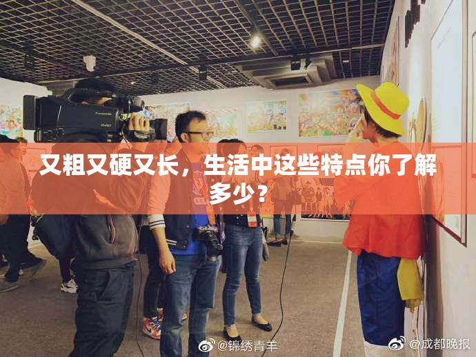 又粗又硬又长，生活中这些特点你了解多少？