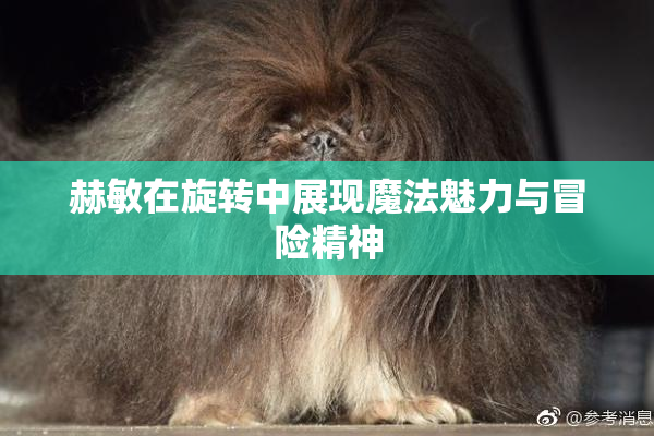 赫敏在旋转中展现魔法魅力与冒险精神