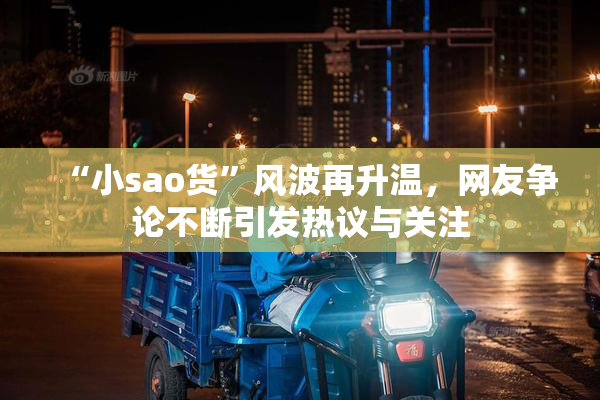 “小sao货”风波再升温，网友争论不断引发热议与关注