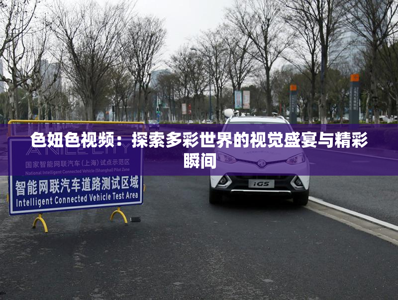 色妞色视频：探索多彩世界的视觉盛宴与精彩瞬间