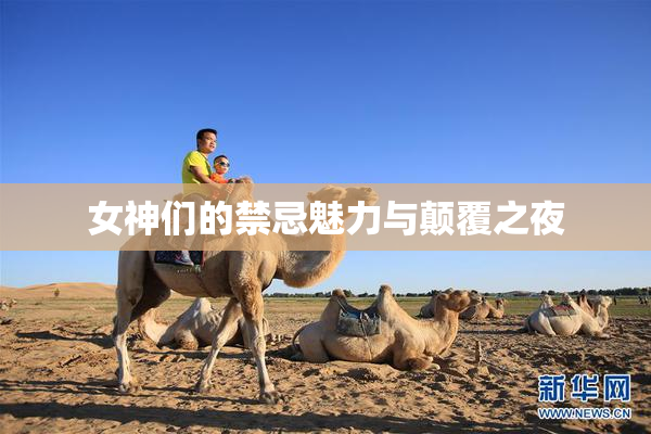 女神们的禁忌魅力与颠覆之夜