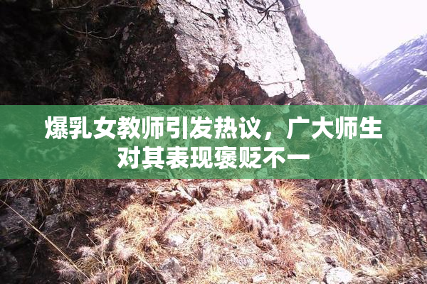 爆乳女教师引发热议，广大师生对其表现褒贬不一