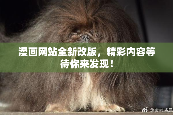 漫画网站全新改版，精彩内容等待你来发现！