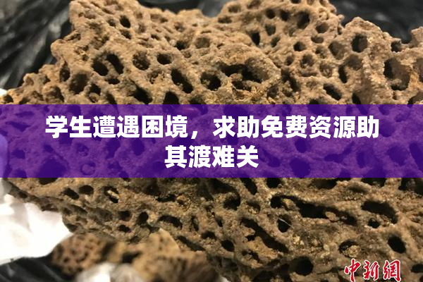 学生遭遇困境，求助免费资源助其渡难关