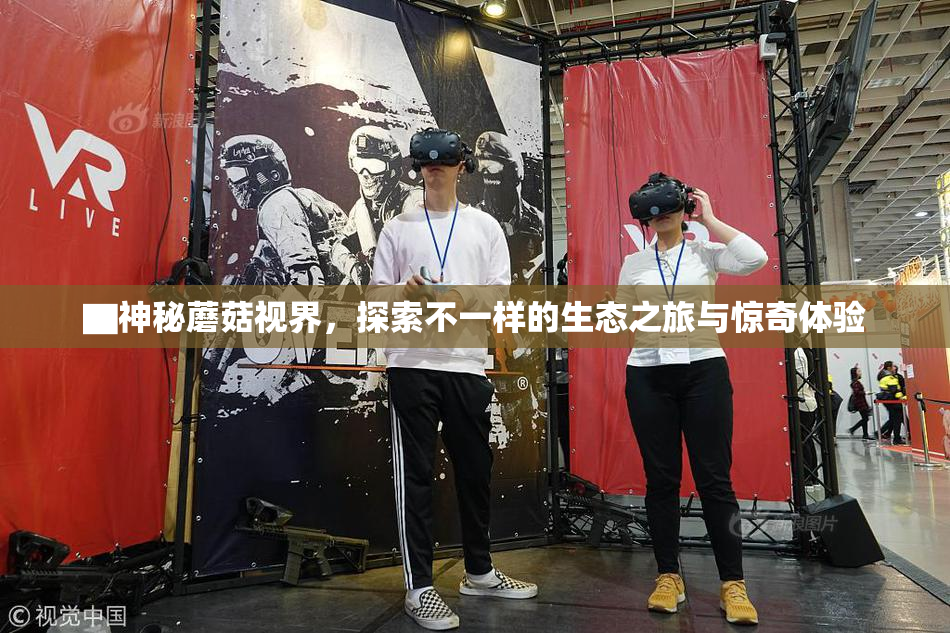 ▇神秘蘑菇视界，探索不一样的生态之旅与惊奇体验