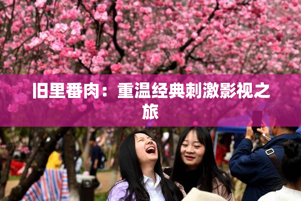 旧里番肉：重温经典刺激影视之旅