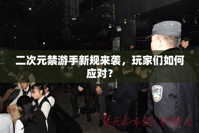 二次元禁游手新规来袭，玩家们如何应对？