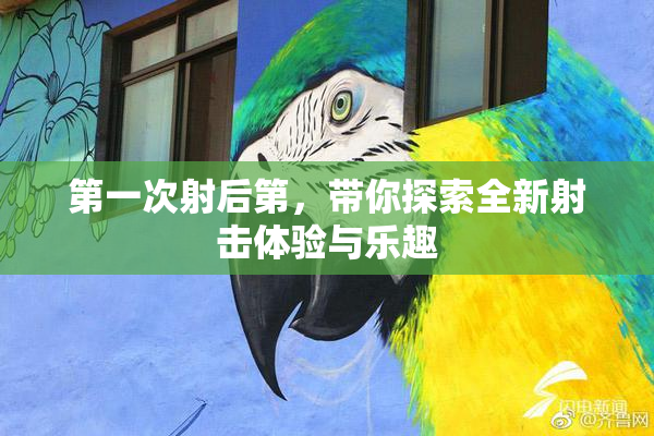 第一次射后第，带你探索全新射击体验与乐趣