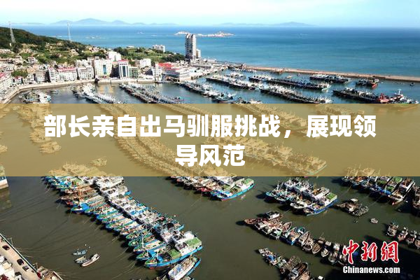 部长亲自出马驯服挑战，展现领导风范