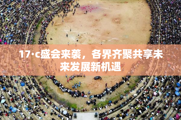 17·c盛会来袭，各界齐聚共享未来发展新机遇
