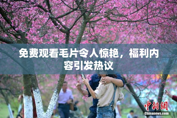 免费观看毛片令人惊艳，福利内容引发热议