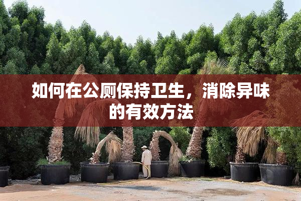 如何在公厕保持卫生，消除异味的有效方法
