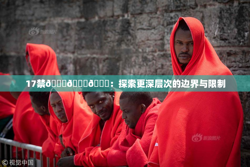 17禁🍆🍑🔞：探索更深层次的边界与限制