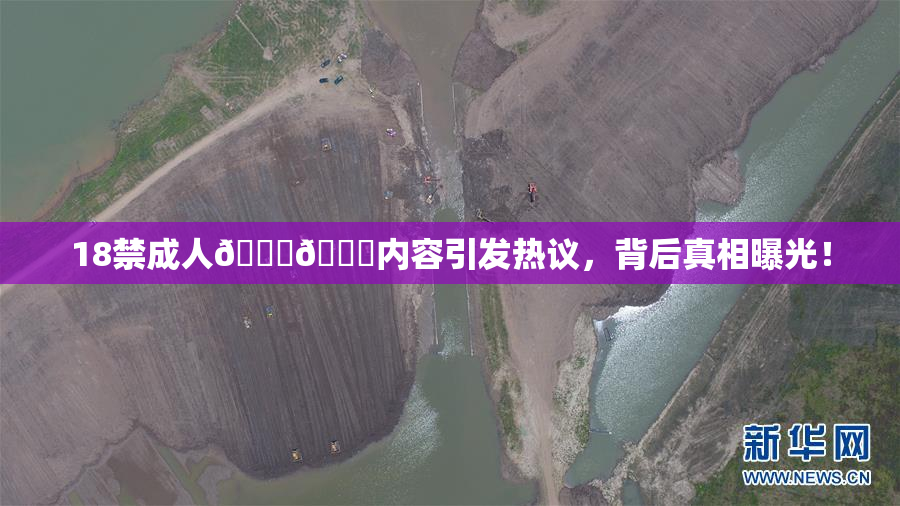 18禁成人🍆🍑内容引发热议，背后真相曝光！