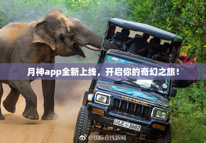 月神app全新上线，开启你的奇幻之旅！