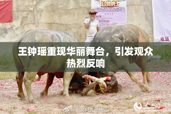 王钟瑶重现华丽舞台，引发观众热烈反响