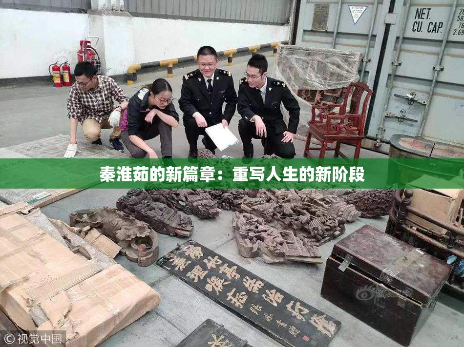 秦淮茹的新篇章：重写人生的新阶段