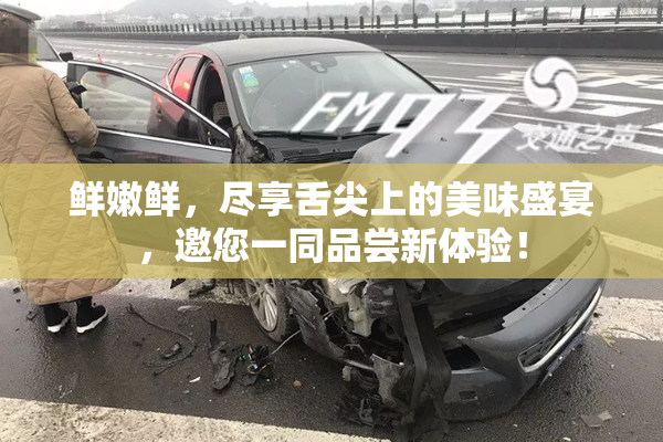 鲜嫩鲜，尽享舌尖上的美味盛宴，邀您一同品尝新体验！