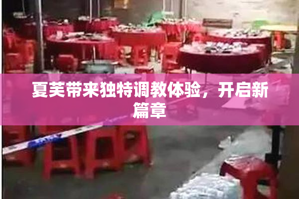 夏芙带来独特调教体验，开启新篇章
