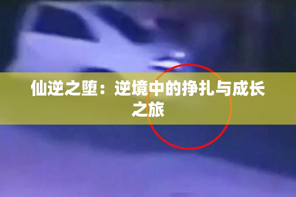 仙逆之堕：逆境中的挣扎与成长之旅