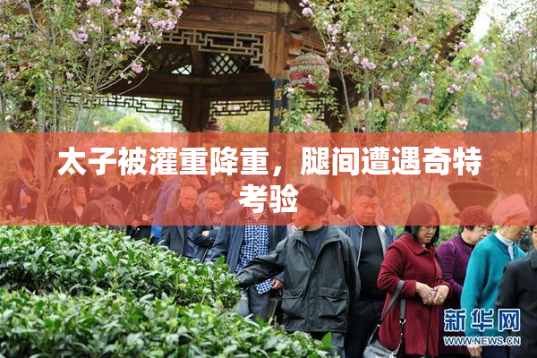 太子被灌重降重，腿间遭遇奇特考验
