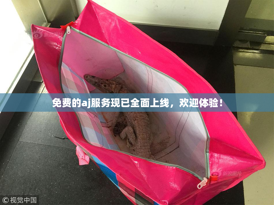 免费的aj服务现已全面上线，欢迎体验！