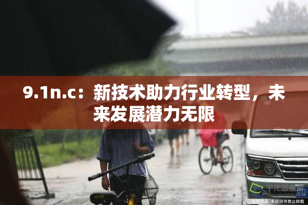 9.1n.c：新技术助力行业转型，未来发展潜力无限