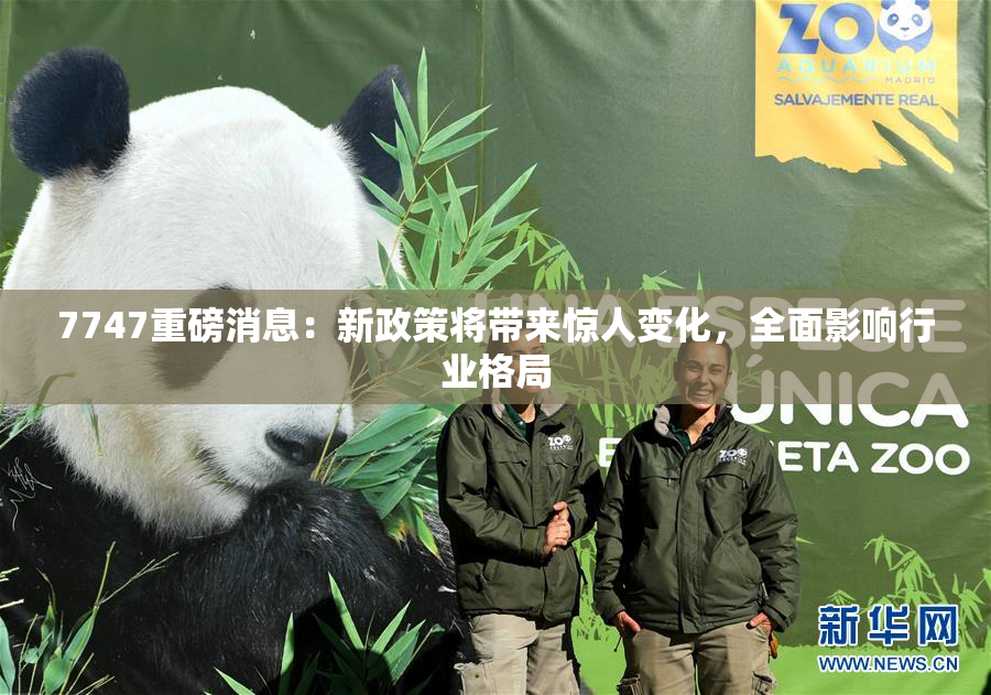 7747重磅消息：新政策将带来惊人变化，全面影响行业格局
