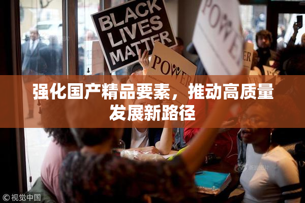 强化国产精品要素，推动高质量发展新路径
