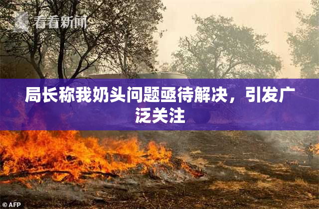 局长称我奶头问题亟待解决，引发广泛关注