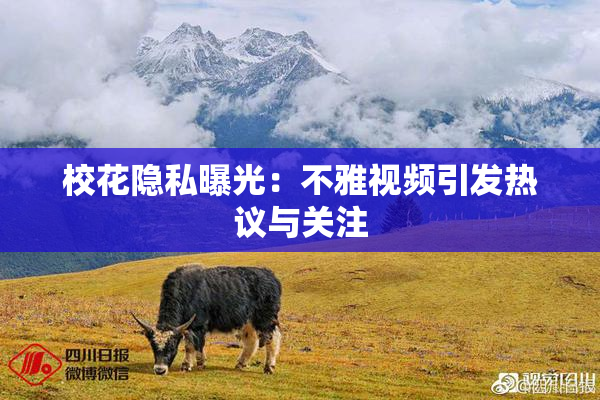 校花隐私曝光：不雅视频引发热议与关注
